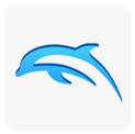 Dolphin